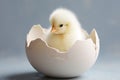 Exquisite illustration showcasing the joyous moment of a small chick hatching from its egg Royalty Free Stock Photo
