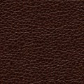 Exquisite leather background in saturated brown tone.