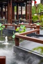 Exquisite and luxurious Chinese garden lotus koi pond