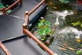 Exquisite and luxurious Chinese garden lotus koi pond