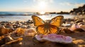 Exquisite macro photography of a beautiful butterfly resting on a sandy beach with sunlight