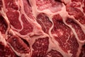 Exquisite marbled texture of raw wagyu, a chef\'s premium choice for steak. Raw meat