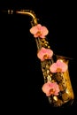 Golden matte color alto saxophone with pink orchids on black background Royalty Free Stock Photo