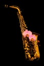 Golden matte finished alto saxophone with pink orchids on black background Royalty Free Stock Photo