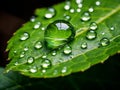 Enchanting Microcosm: A Stunning Dew Drop on Leaf Masterpiece