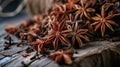 Culinary Elegance: High-Quality Star Anise Unveiled