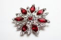Exquisite red gemstone brooch with silver leaf design on white background Royalty Free Stock Photo