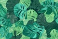 Exquisite Repetitive Seamless Pattern of Vibrant Tropical Green Leaves, Lush Foliage, , Created by Generative AI
