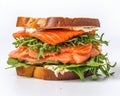 Feast Your Eyes on this Delightful Gourmet Salmon Sandwich!