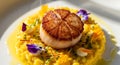 Seared Scallop with Saffron Risotto -. Royalty Free Stock Photo