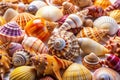 Exquisite Seashell Collection A Detailed Closeup Exploration of Diverse Seashells Against a Pristine White Background Royalty Free Stock Photo