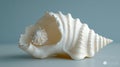 Exquisite seashell, intricate spiral Royalty Free Stock Photo