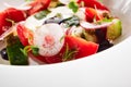 Salad of Fresh Vegetables and Ricotta Cheese with Herbs Royalty Free Stock Photo