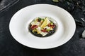 Exquisite Serving White Restaurant Plate of Black Risotto with Octopus, Cuttlefish or Squid Meat Royalty Free Stock Photo