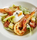 Exquisite Serving White Restaurant Plate of Caesar Salad with Shrimps, Chicken, Croutons, Tomatoes, Cucumbers Royalty Free Stock Photo