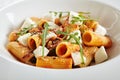 Exquisite Serving White Restaurant Plate of Rigatoni Pasta in Tomato Sauce with Milk Mozzarella