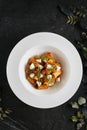 Exquisite Serving White Restaurant Plate of Rigatoni Pasta in Tomato Sauce with Milk Mozzarella Top View
