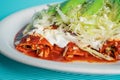 Exquisite traditional Mexican red enchiladas with chopped lettuce, sour cream, cheese and avocado on a white plate Royalty Free Stock Photo