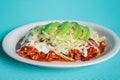 Exquisite traditional Mexican red enchiladas with chopped lettuce, sour cream, cheese and avocado on a white plate Royalty Free Stock Photo