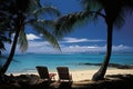 Exquisite Tropical Getaway. Sunbeds under Majestic Palm Trees on the Pristine Beach of Paradise Island Royalty Free Stock Photo