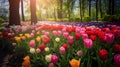 Exquisite tulip garden in full bloom. Ai Generated.NO.04