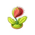 Exquisite Venus Flytrap Flower with Intricate Features Royalty Free Stock Photo