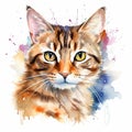 Exquisite Watercolor Cat Illustration on a White Canvas