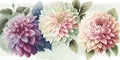 Exquisite Watercolor Dahlias for Wedding Stationery.