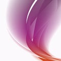 An exquisite white background with wavy violet-pink lines.