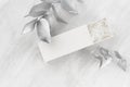 Exquisite white blank open rectangle gift box with paper filler mock up on wood board silver leaves top view for design, branding.