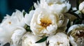 Exquisite White Peony Ensemble: A Stunning Close-Up of a Bountiful Bouquet. Perfect for Any Celebration, AI generative