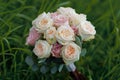 Exquisite white roses bundled with care, a symbol of pure beauty