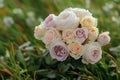 Exquisite white roses bundled with care, a symbol of pure beauty