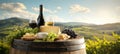 The exquisite wine and cheese platter set against a stunning vineyard backdrop. AI generated image Royalty Free Stock Photo