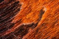 Exteme macro of a Leopardskin Jasper surface. Royalty Free Stock Photo