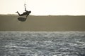 Kiteboarding jump Royalty Free Stock Photo