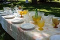 extensive collection of vintage linens, plates, and stemware for elegant picnic