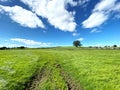 Extensive fields, with trees on the horizon in, Fewston, Harrogate, UK