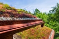 Extensive green ecological living sod roof covered with vegetation mostly sedum sexangulare