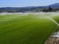 Extensive irrigation on a green field