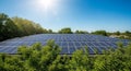 Extensive Solar Panel Array on a Rooftop Surrounded by Green Trees Under a Sunny Sky solar panels Royalty Free Stock Photo