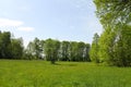 Extensive spring, riverside meadow in a range of greenery