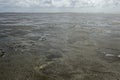 Extensive tidal mud flats at low tide of the Wadden Sea of the North Sea, Germany