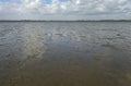 Extensive tidal mud flats at low tide of the Wadden Sea of the North Sea,