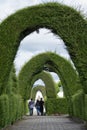 The extensive topiary of the local