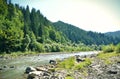 Extensive view of the mountain river and mountains with trees