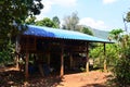 Exterior ancient wooden house or antique old wood home in Ban Taphoen Khi Karen Village top of Khao Thewada mountain in Phu Toei Royalty Free Stock Photo