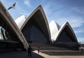 Exterior architecture detail of sydney opera house landmark in a