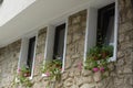 Exterior of beautiful residential building with small windows and flowers in pots Royalty Free Stock Photo