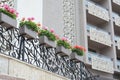 Exterior of building with balconies decorated with beautiful flowers, low angle view Royalty Free Stock Photo